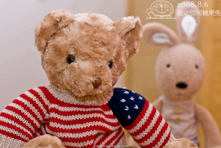 泰迪熊和糖果兔
